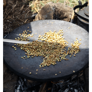 Café SIDAMA, Ethiopie