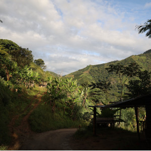 *Ephémère* Café LEONA, Colombie